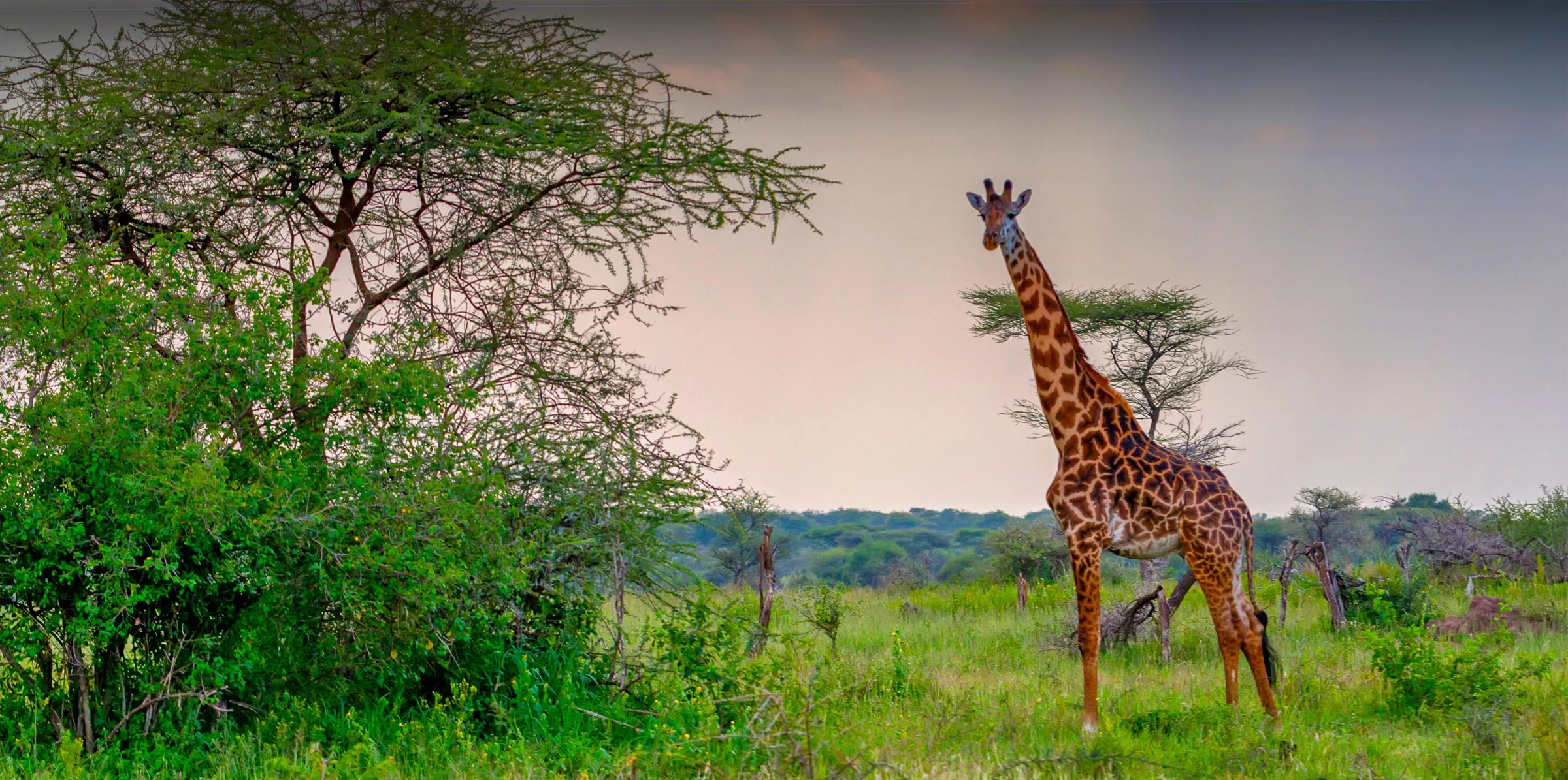 Arusha National Park