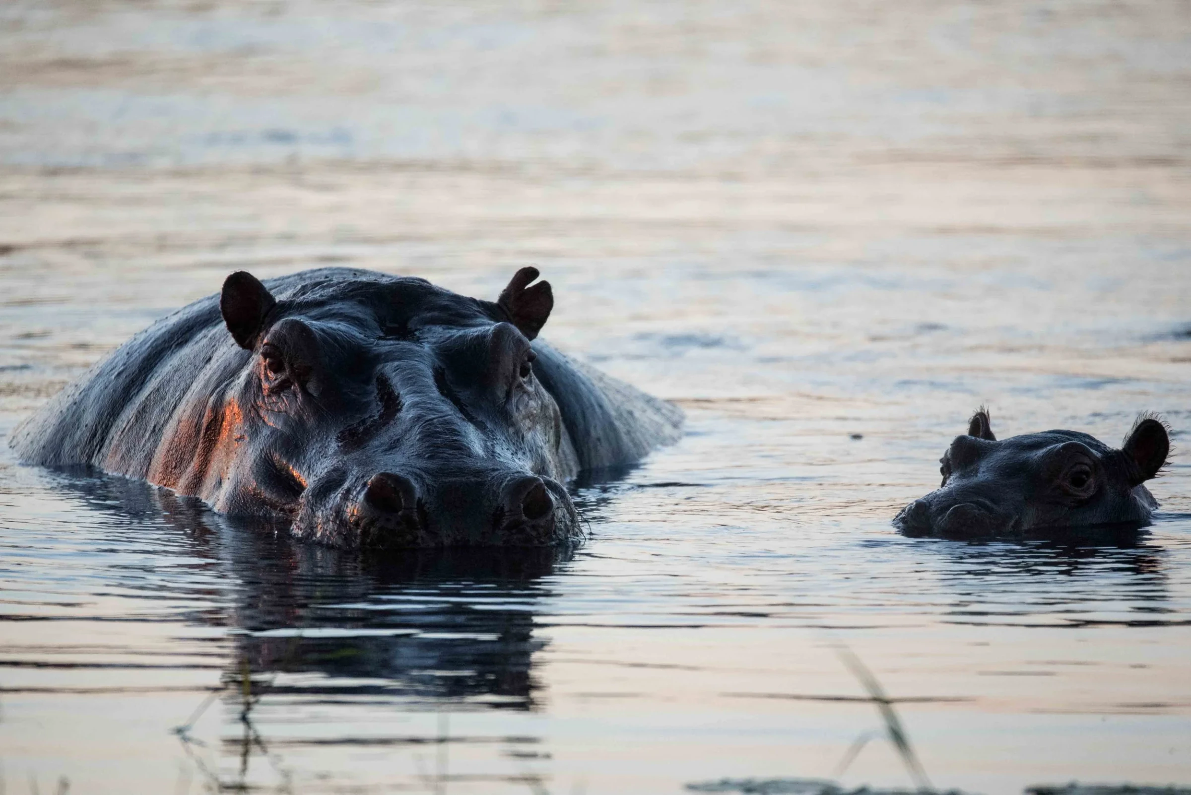 Katavi National Park